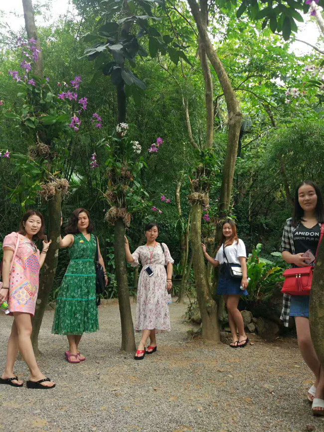 ������˾ע��